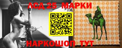 гидропоника Бердск