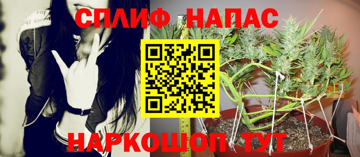 Конопля Bruce Banner Димитровград